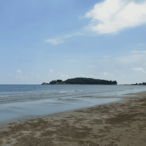 Bãi Biển Đông Hồi