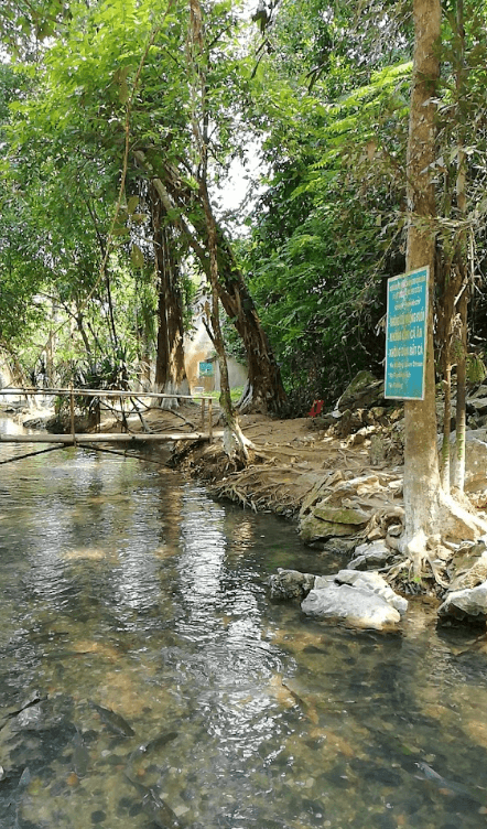 Suối cá Thần Cẩm Liên - Cẩm Thuỷ - Thanh Hoá