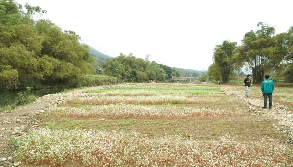 HTX Du Lịch Ban Công Pù Luông - Bá Thước - Thanh Hoá