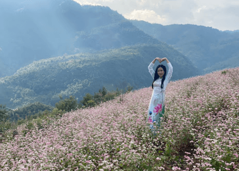 Vườn Tam giác Mạch Đồng Văn - Đồng Văn - Hà Giang