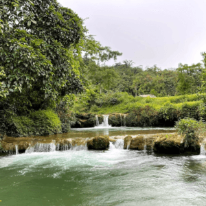 Bản Bướt