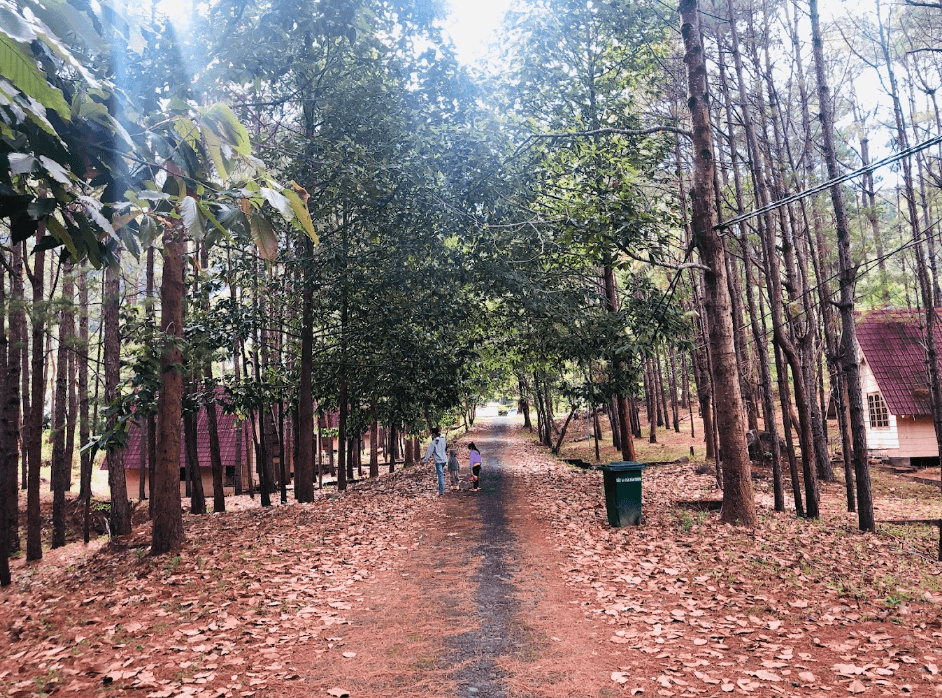 Khu Du Lịch Thác Krông Kmar