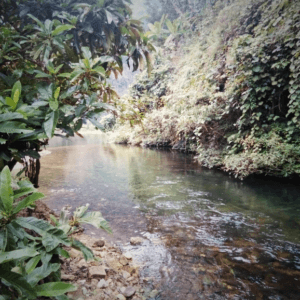 Tốc Tát - Chiêm Hóa - Tuyên Quang