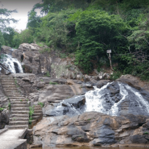 Khu du lịch Sinh thái Suối Mỡ