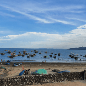 Bãi biển đồng minh - Quỳnh Lưu - Nghệ An