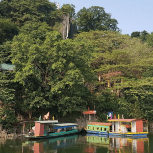 Thủy Tiên Sơn Động - Chiêm Hóa - Tuyên Quang