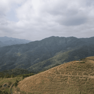 Đồi Dương Nhung - Đồng Văn - Hà Giang
