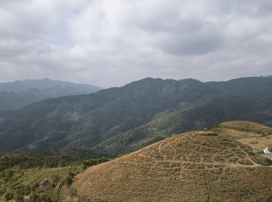 Đồi Dương Nhung - Đồng Văn - Hà Giang
