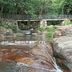 Khu Du Lịch Suối Tiên