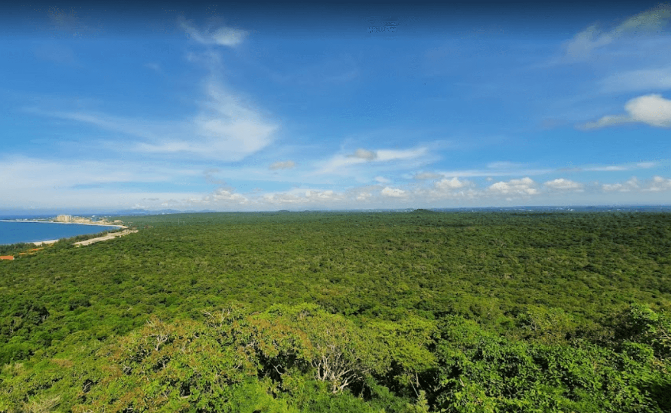 Rừng Nguyên Sinh Phước Bửu