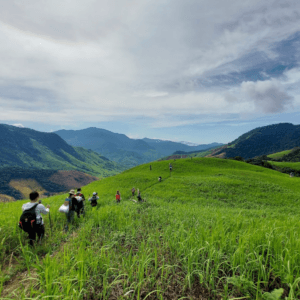 Đồi gió Phước Bình - Bác Ái - Ninh Thuận