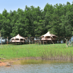 Homestay Làng Chài Cấm Sơn - Lục Ngạn - Bắc Giang