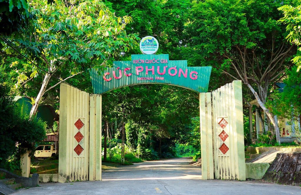 Cẩm nang tham quan Vườn Quốc gia Cúc Phương năm 2025