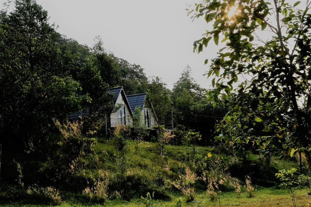 Danhar Glamping - Trạm sạc năng lượng bạn không nên bỏ lỡ mùa hè này