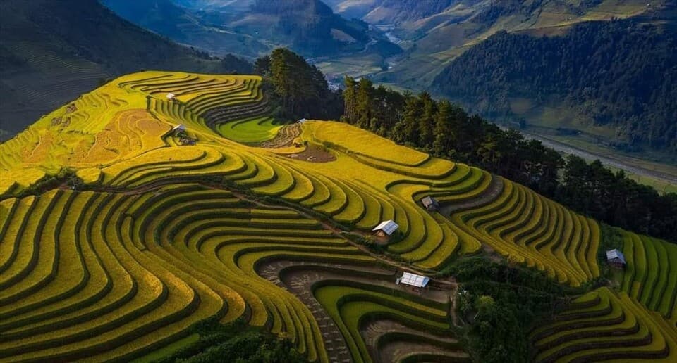 Trải Nghiệm Du Lịch Mù Cang Chải: Dù Lượn, Trekking, và Khám Phá Thiên Nhiên