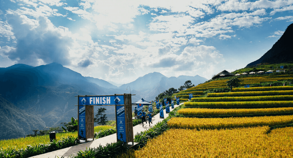 Vietnam's Marathon Scene: A Hidden Gem for International Runners in 2024