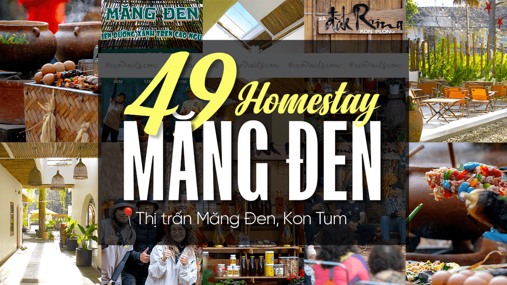 49 Homestay, Farmstay và Tất Tần Tật Những Nơi Lưu Trú ở Măng Đen Kon Tum