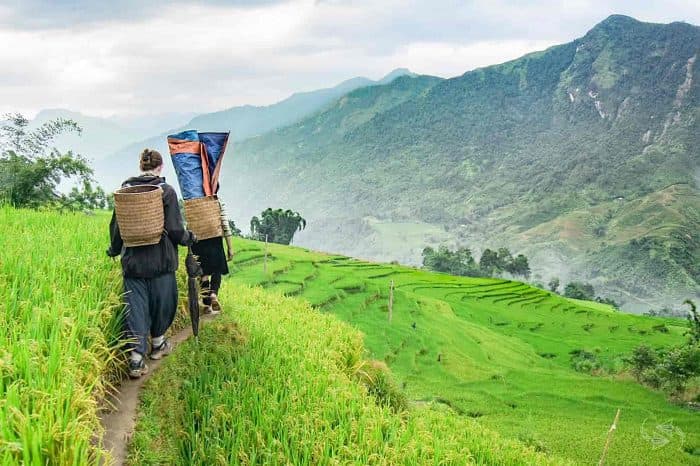 Types of Trails and How to Find the Best Ones in Vietnam