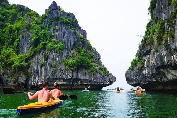 Cat Ba Hiking and Kayaking Guide: Beyond the Summit - Choosing Your Adventure in Northern Vietnam