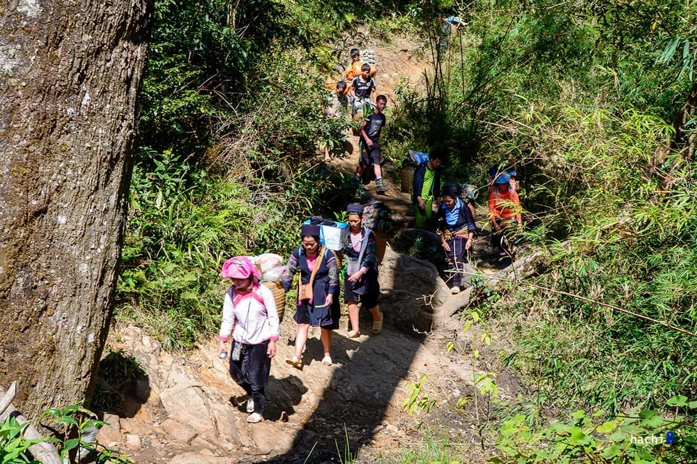 Climbing Fansipan Sapa: Uncovering the Amazing Secrets of the Porters