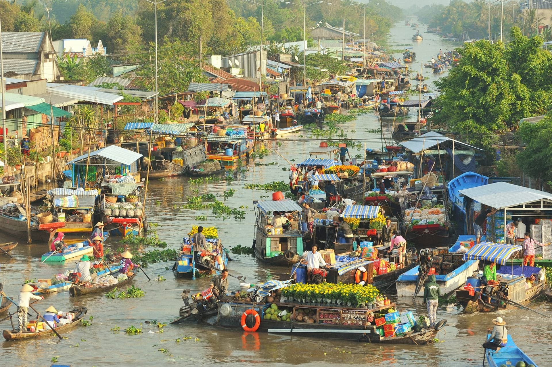 Mekong Delta Floating Markets: Discover the Soul of Vietnam’s Waterways